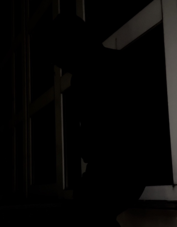 Blackout Vantablack Hoodie